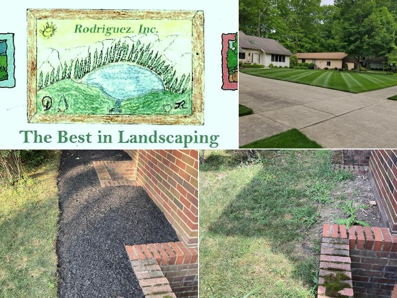Rodriguez The Best in Landscaping