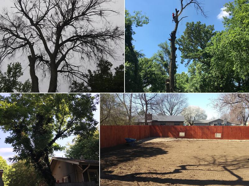 Gary's tree services