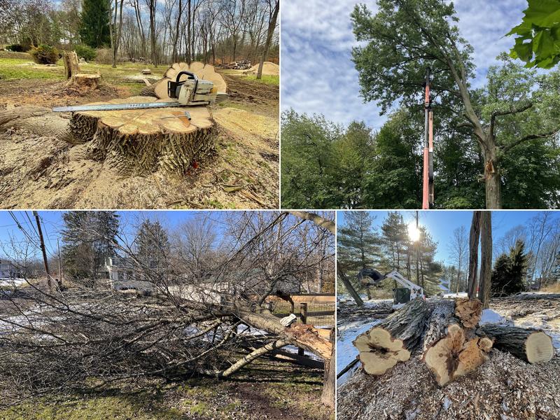 Weeks Tree Service