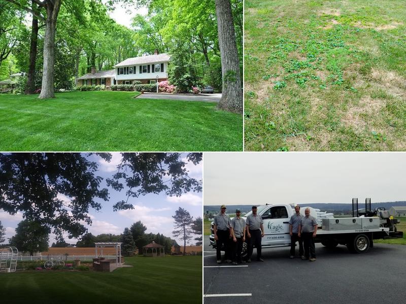 Eagle Lawn Care