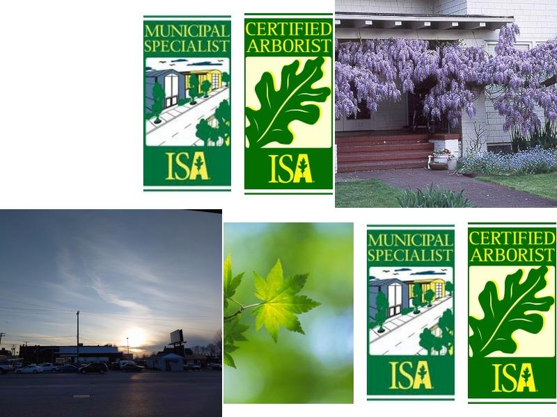 Nickel Plate Landscape Service