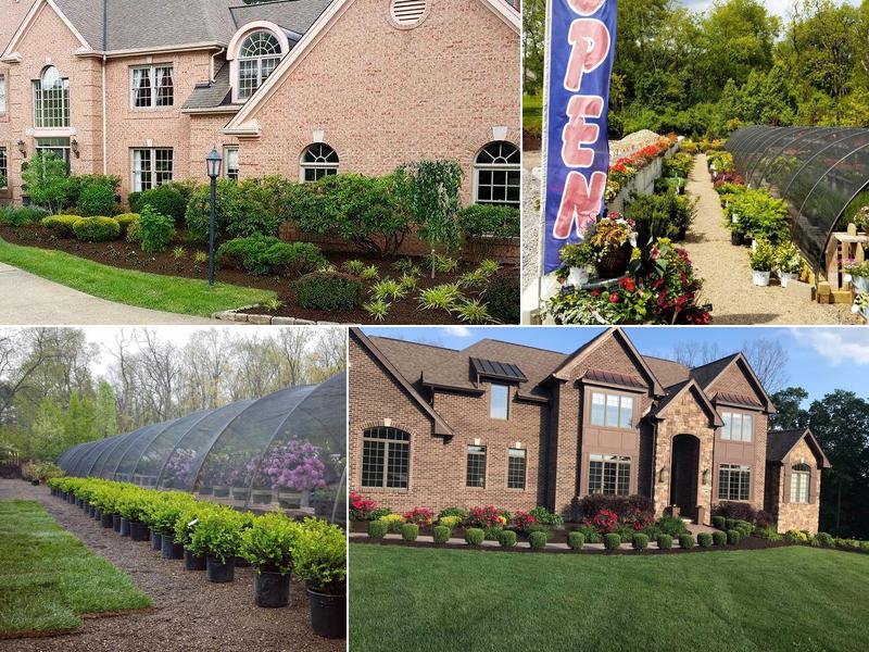 A&N Lawn Service Inc.