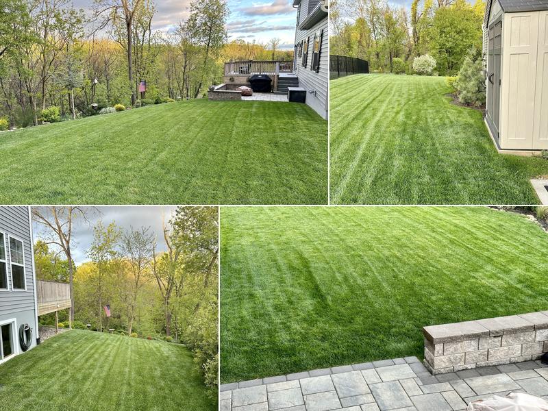 Greensward Turf Care
