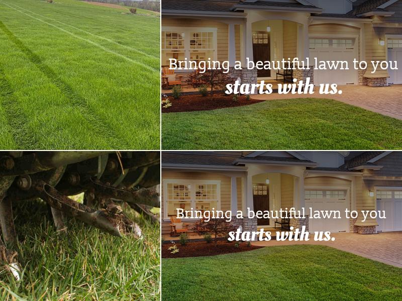 Schnupp's Prolawn Care Inc