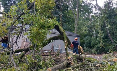 Frank’s Lawn and Tree Care LLC