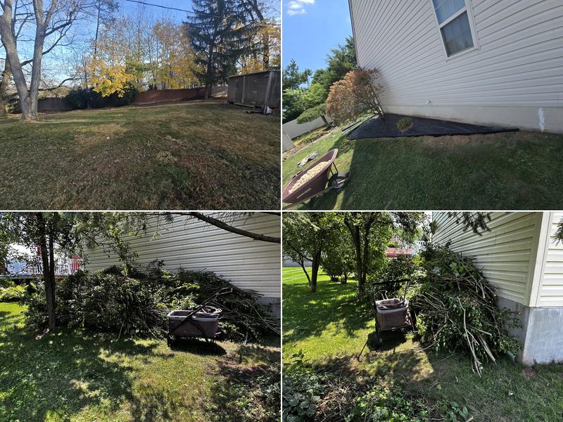 Pitbull Landscaping and Lawn Service