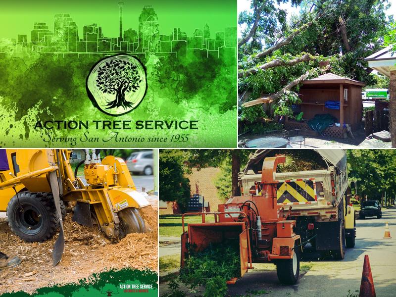 Action Tree Service