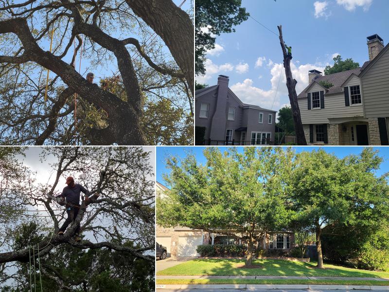 Integrity Tree Service