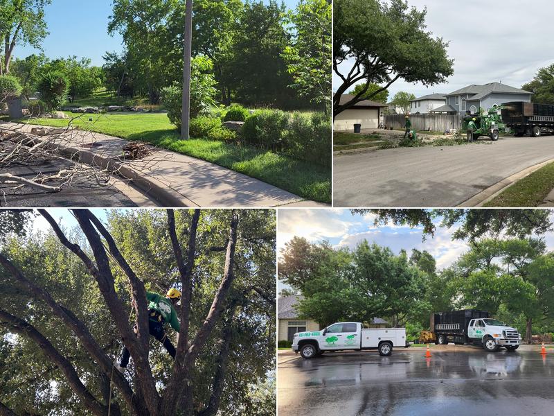 Liberty Tree Service