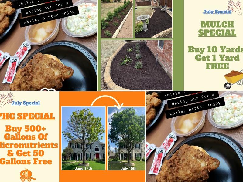 Professional Landscaping & Tree Service,LLC