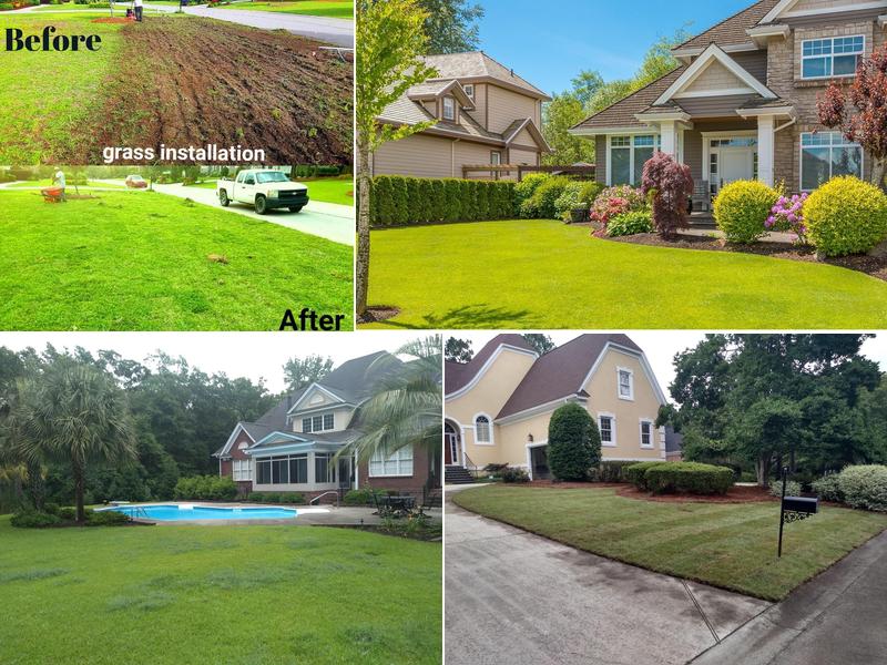 Juan Mata Lawn Care Services