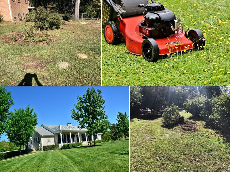 R.P.M. Lawn Maintenance L.L.C.