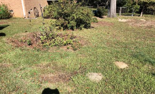 R.P.M. Lawn Maintenance L.L.C.