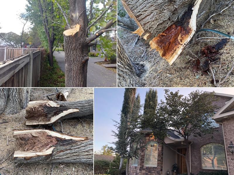 Sherwood Landscape Inc.