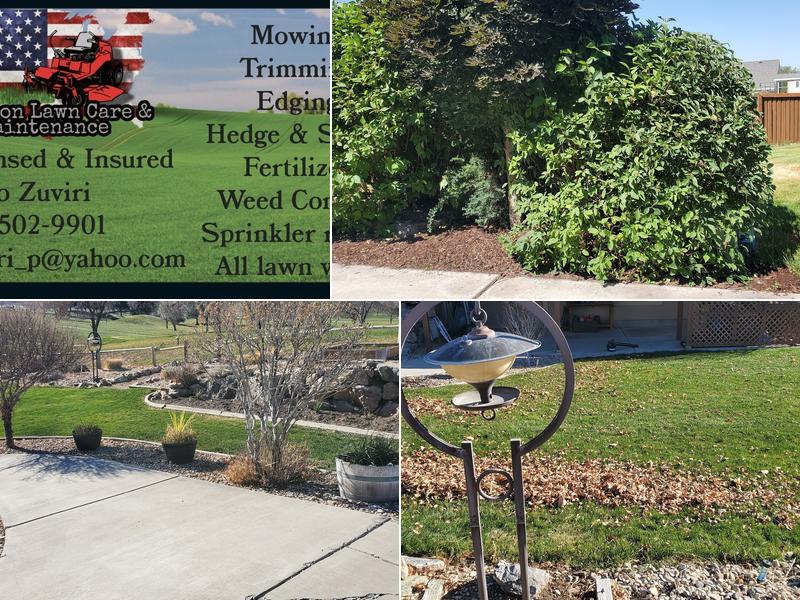 Z Nation Lawn Care and Maintenance