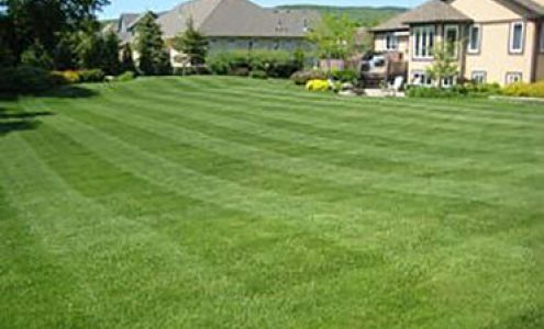 The Lawn Guys Utah