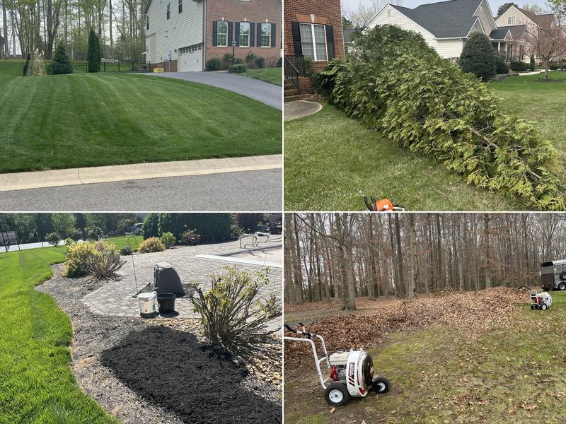 Lawn Surgeons RVA
