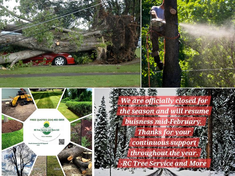 RC Tree Service and Landscaping Ruckersville