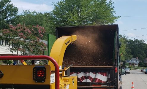 Sean Harman's tree care Certified Arborist
