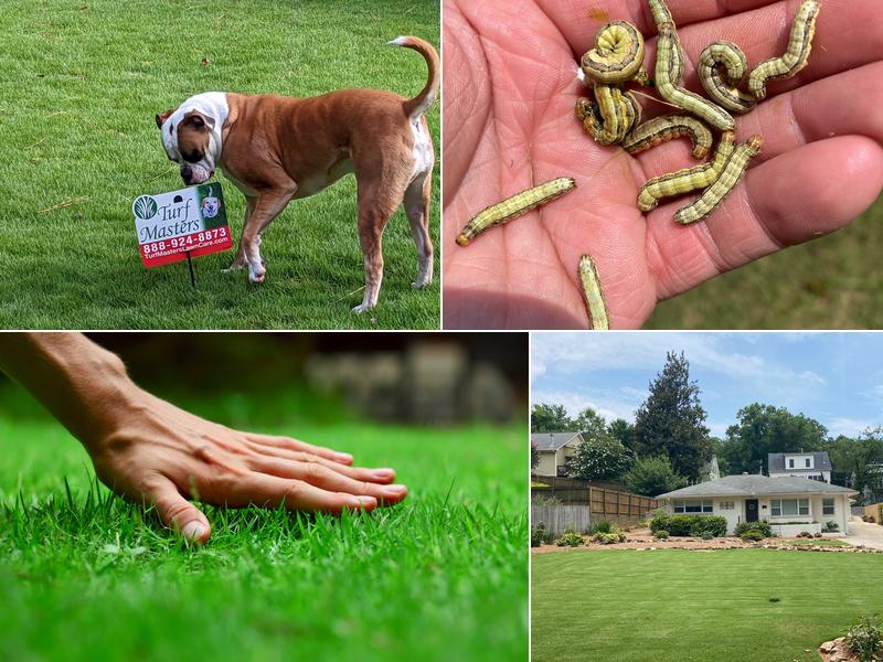 Turf Masters Lawn Care of Nashville