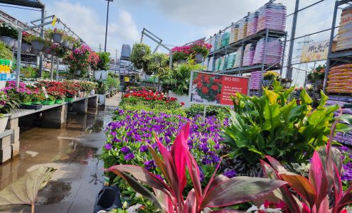 Garden Center at The Home Depot