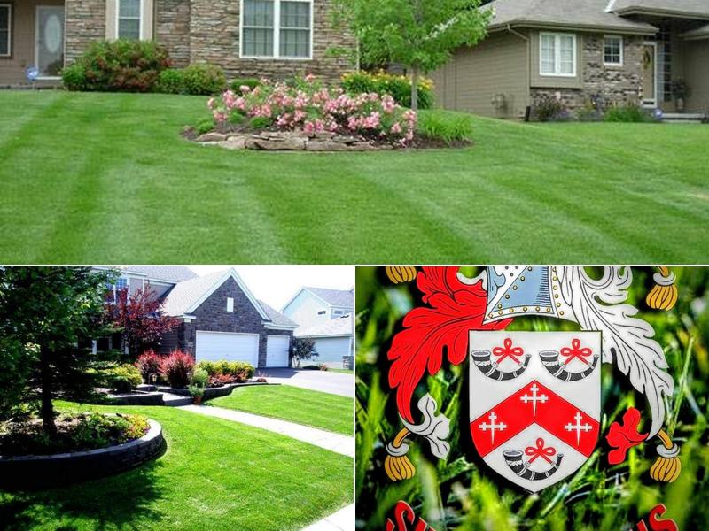 SHAWN'S LAWNS LANDSCAPE AND MAINTENANCE LLC