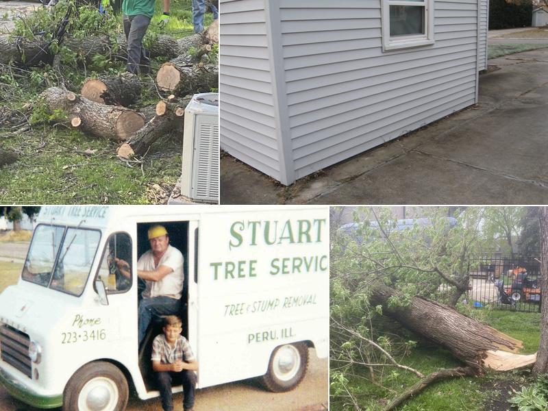 Stuart Tree Services