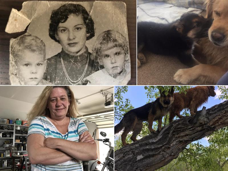 Xtreme Landscaping LLC - Home