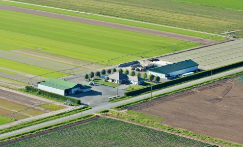 Bos Sod Farms Inc