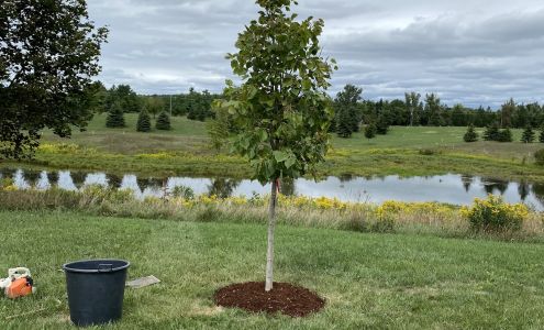 Ginkgo Ridge Lawn & Garden