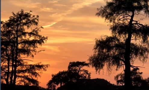 Captain Ron's Swamp Tours Karnack