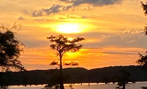 Ole Jigger Caddo Lake Adventures Karnack