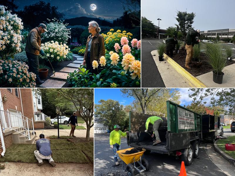 Bls-Pro Landscaping VA