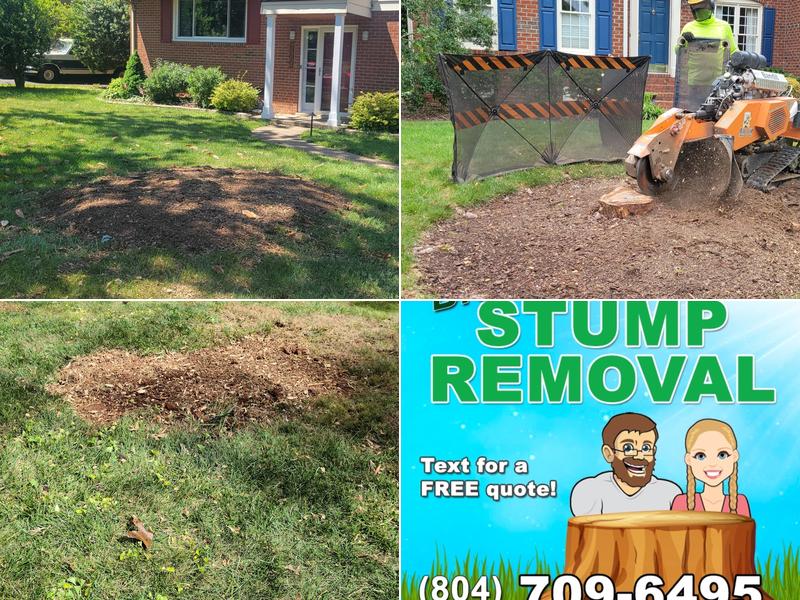 Bloom Stump Removal