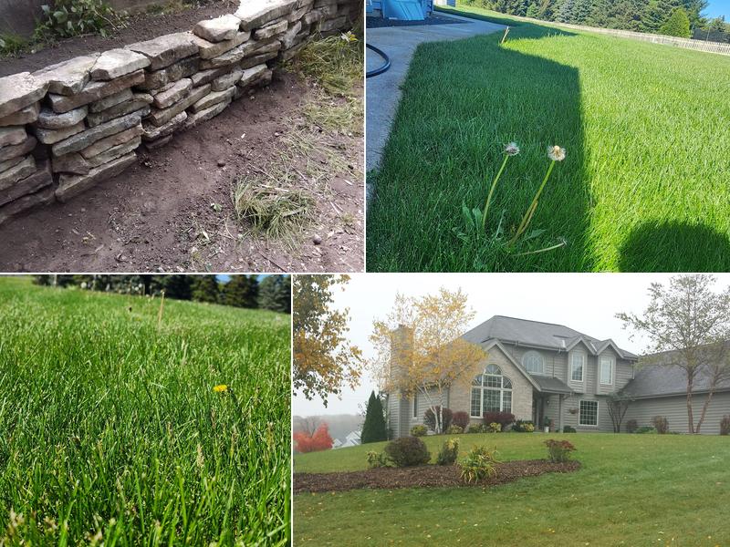 Paul Terry Services Lawn Care and Landscaping