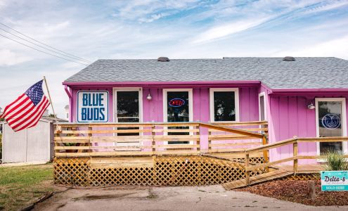 Blue Buds Atlantic Beach