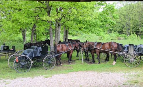 Amish Outreach Clinic 4549 State Hwy C, Seymour Missouri 65746