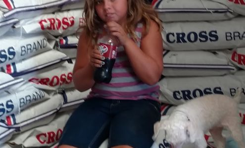 Cross Brand Feed & Alfalfa Lewis