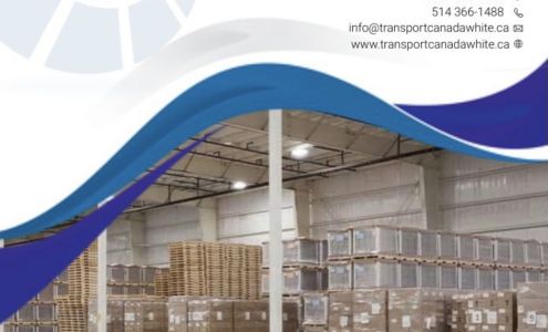 Transport Canada White