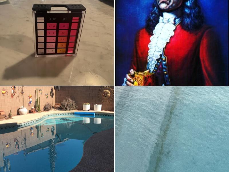 royal blue pool service