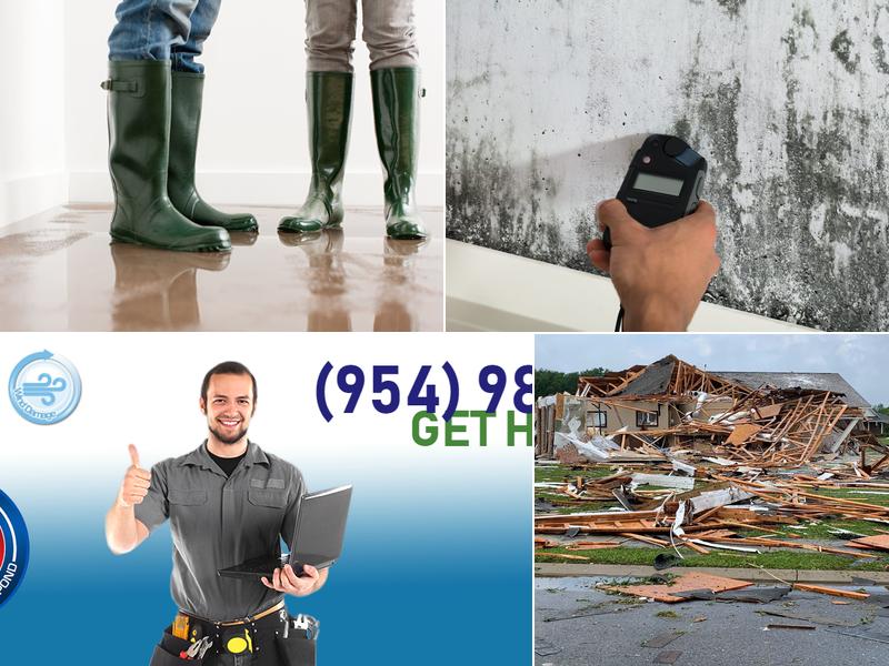 A1 Quality Restoration