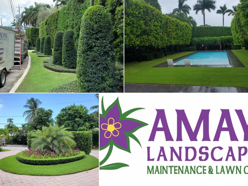 Amaya Landscaping Maintenance & Lawn Care
