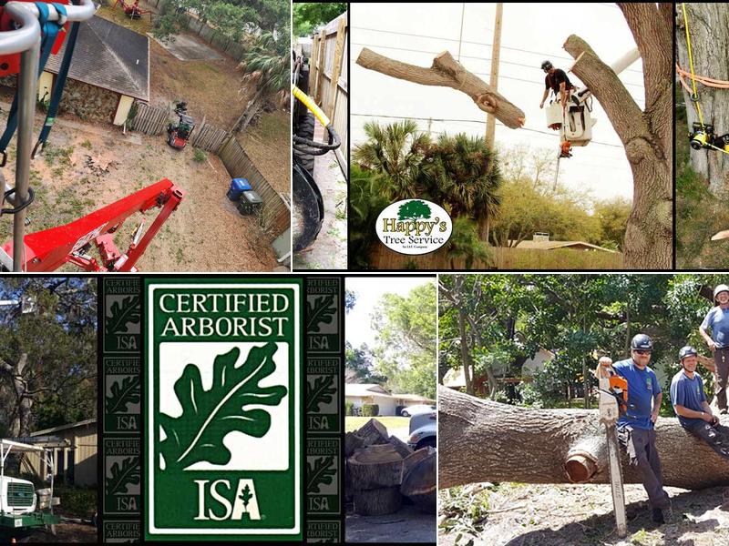 Happy's Tree Service