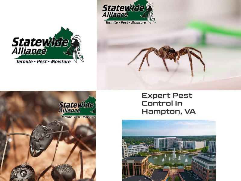 Alliance Home Maintenance Services