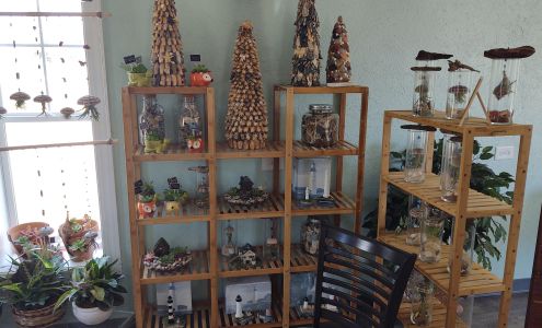 Island Shell and Plant Emporium Beaufort