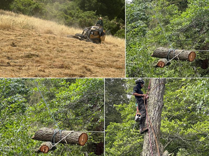 Gilbert's Tree Services