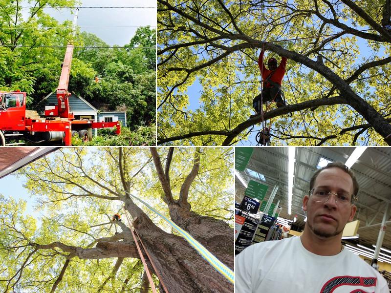 Norcross Tree Services