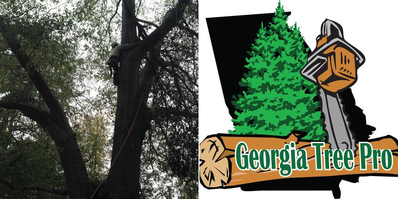 Georgia Tree Pro, Inc