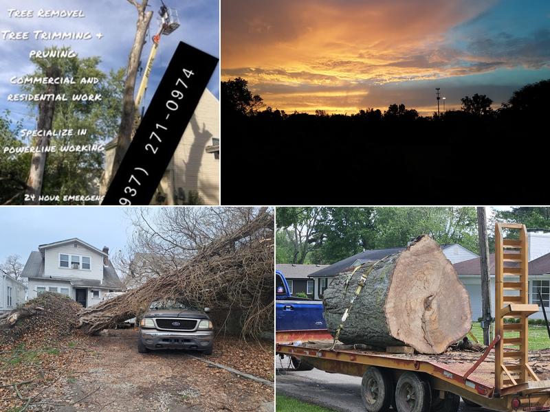 Terry's Tree Service and Landscape