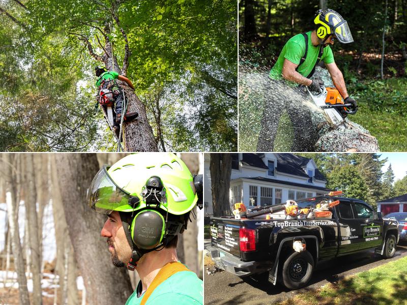 Top Branch Tree Service